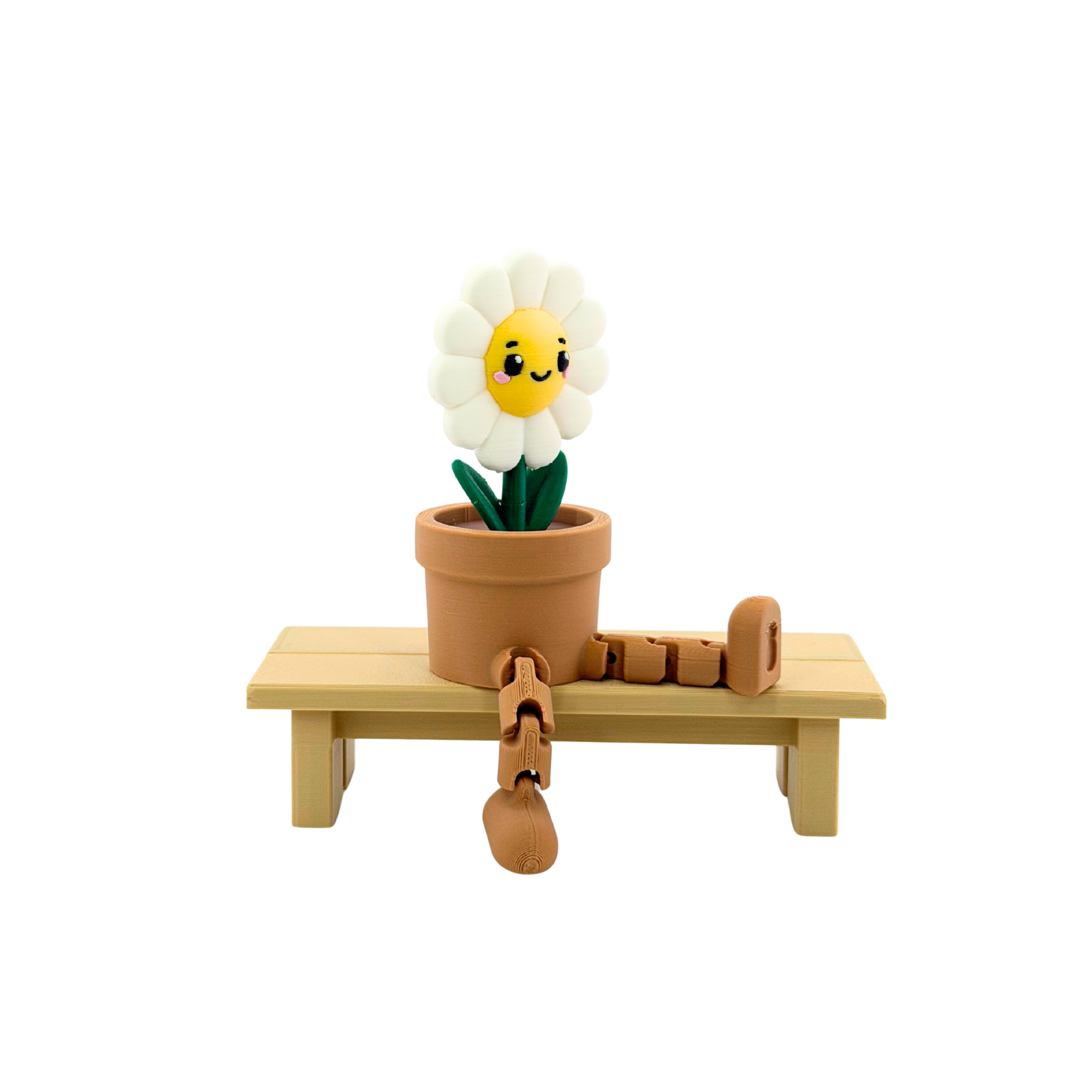 Gänseblümchen Männchen