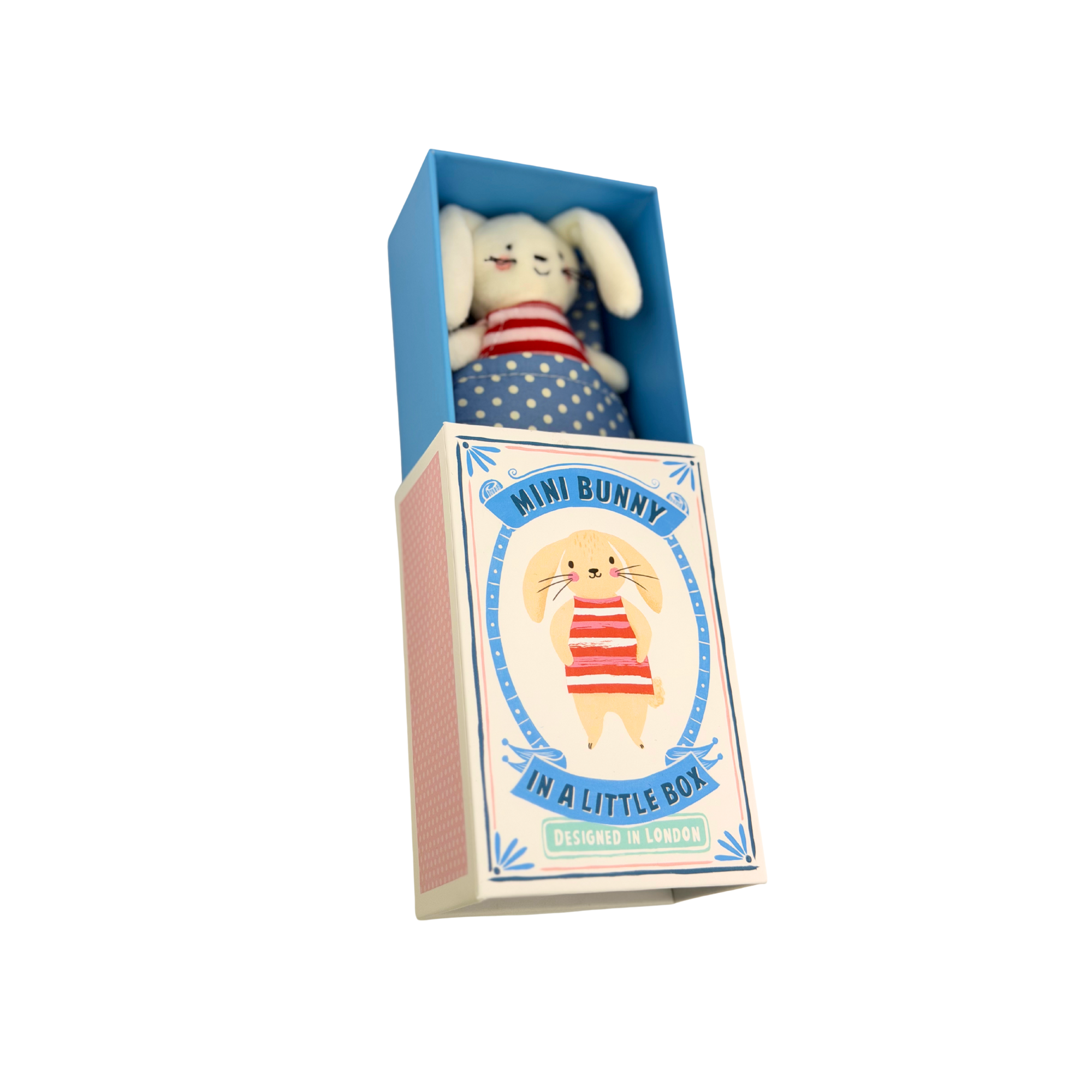 Mini Bunny in einer kleinen Box