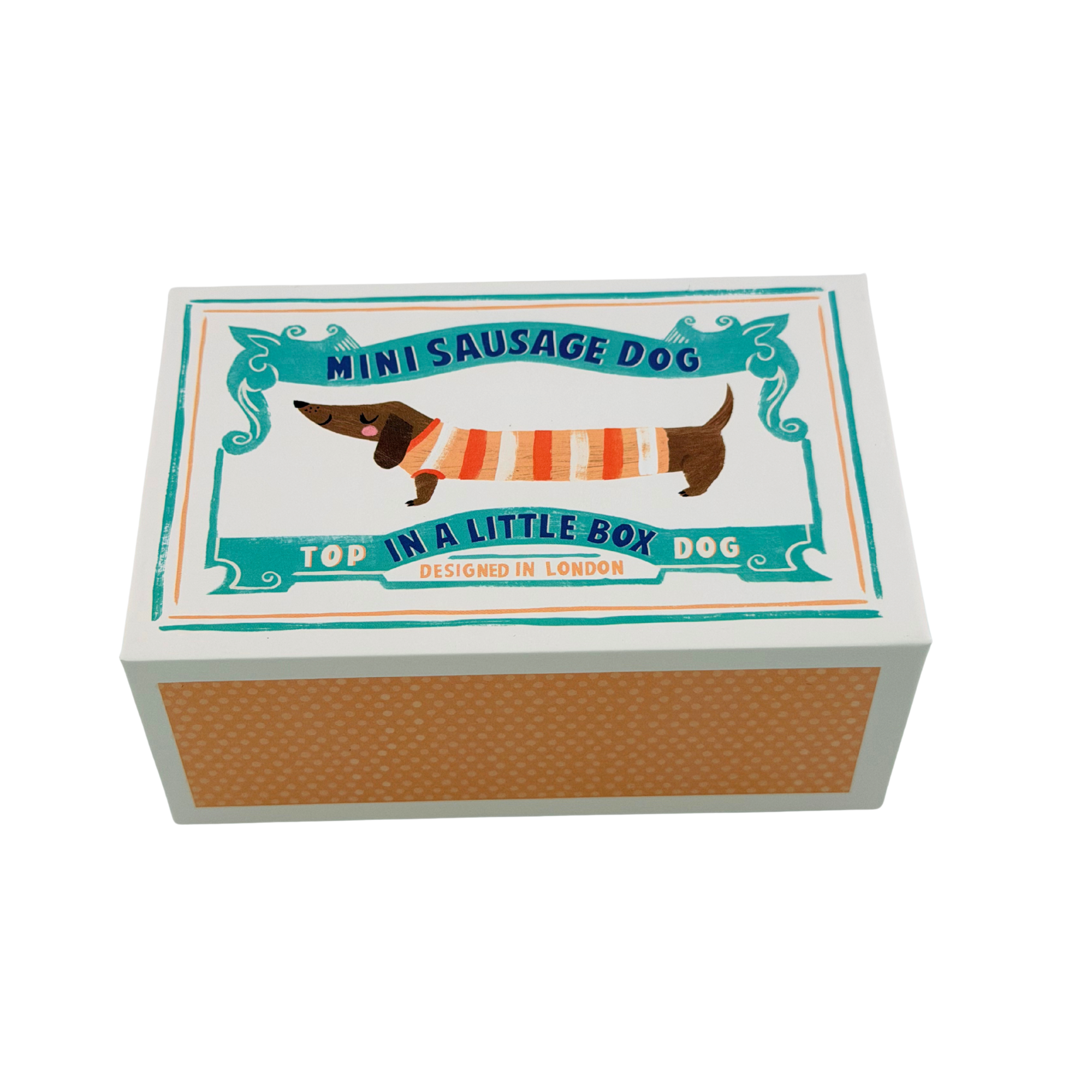 Mini Sausage Dog Dackel in einer kleinen Box
