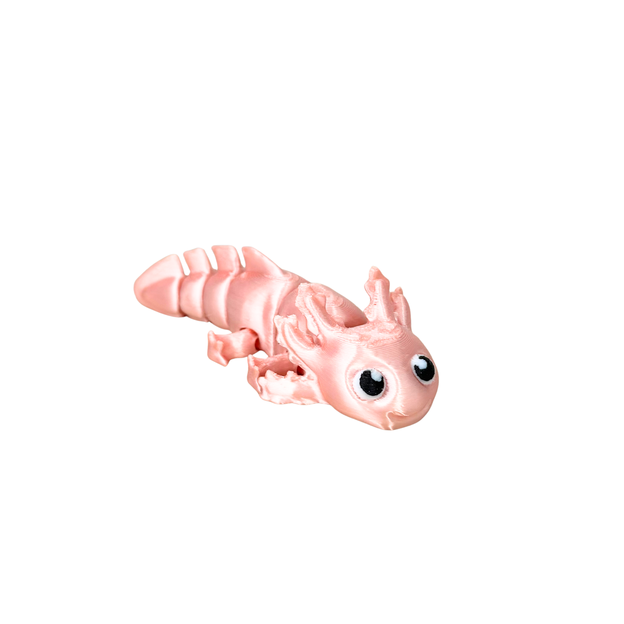 Axocutie