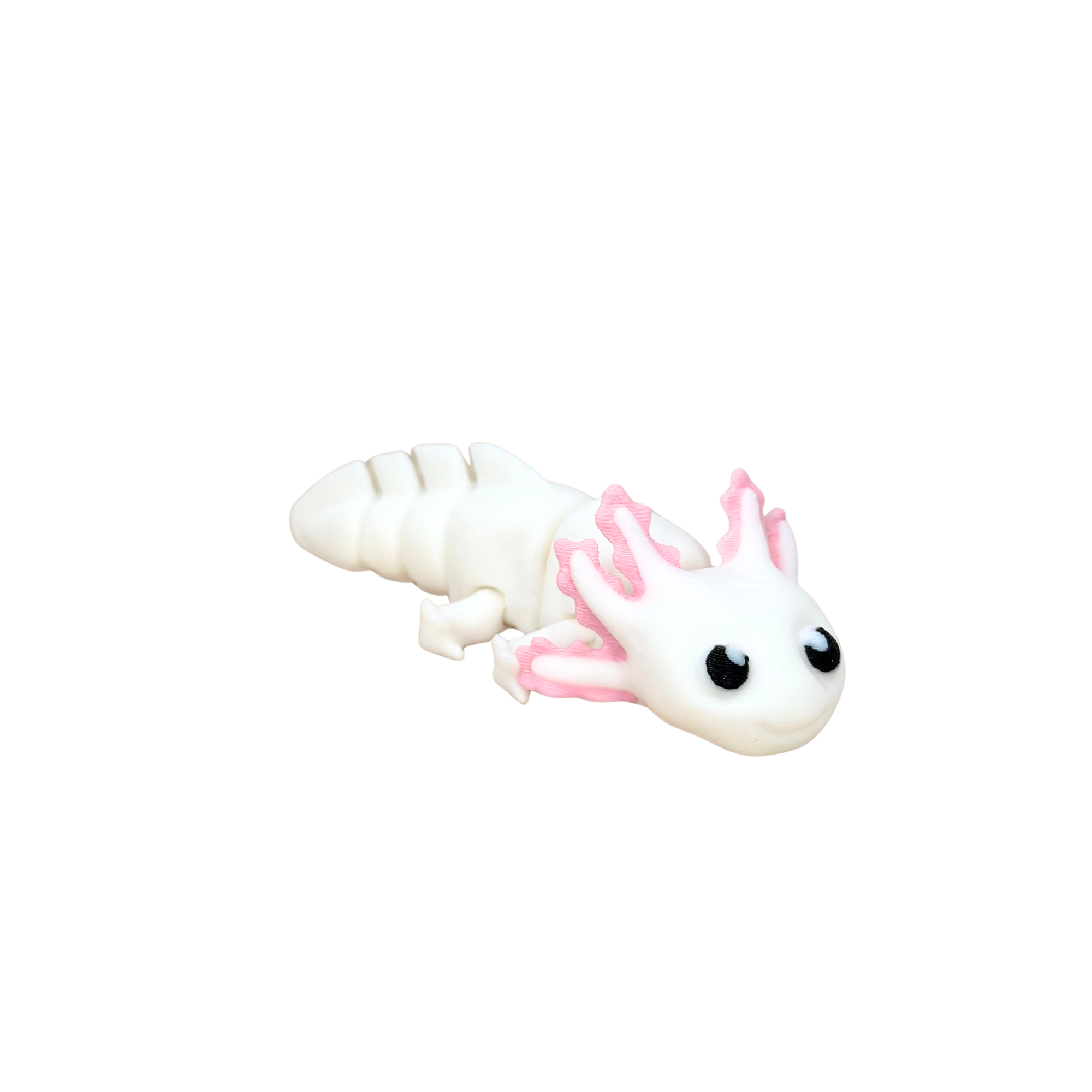 Axocutie